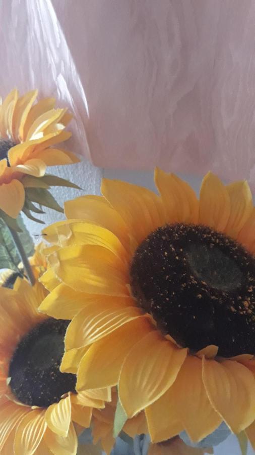 Willa Casa Del Girasole Letojanni Zewnętrze zdjęcie